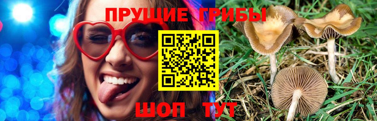 Псилоцибиновые грибы мухоморы  Вход с VPN  Ноябрьск 